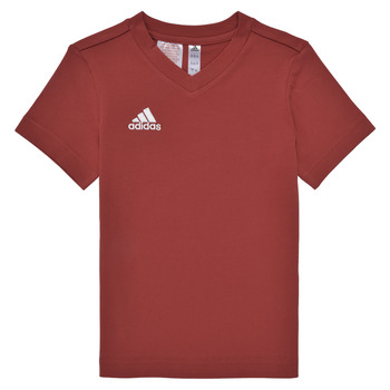 Adidas T-shirt Korte Mouw  ENT22 TEE Y