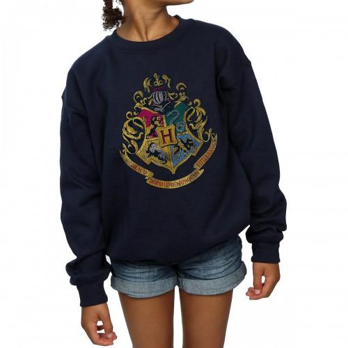 Harry Potter Girls Hogwarts Houses katoenen sweatshirt 12-13 zwart