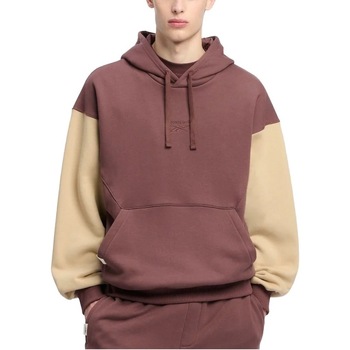 Reebok Sport Sweater  CLASSIC HOODIE FT