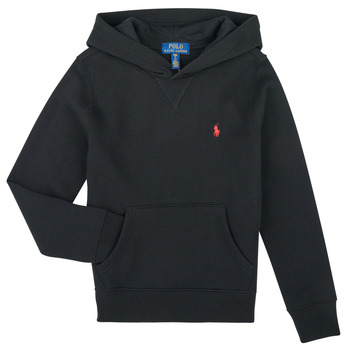 Polo Ralph Lauren Sweater  LS PO HOOD