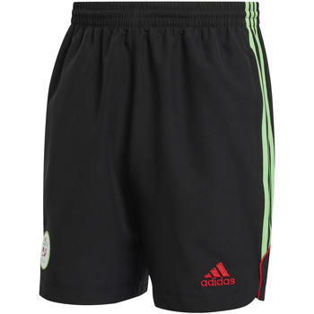 Adidas Korte Broek  Short Algérie UBP 2024/25