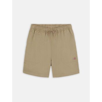 Dickies Korte Broek  PELICAN RAPIDS - DK0A4XB2-DS01 DESERT SAND