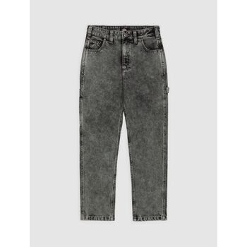 Dickies Jeans  ELLENDALE - DK0A4XEKJ811-DENIM LIGHT GREY