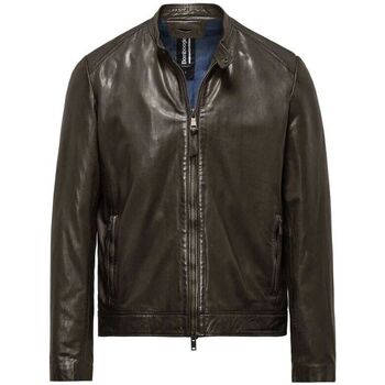 Bomboogie Blazer  JMROY PLGS5-14 DARK BROWN