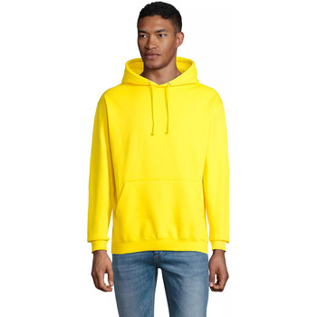 Sol's Sweater  Sweatshirt à capuche Condor