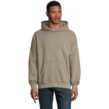 Sol's Sweater  Sweatshirt à capuche Connor