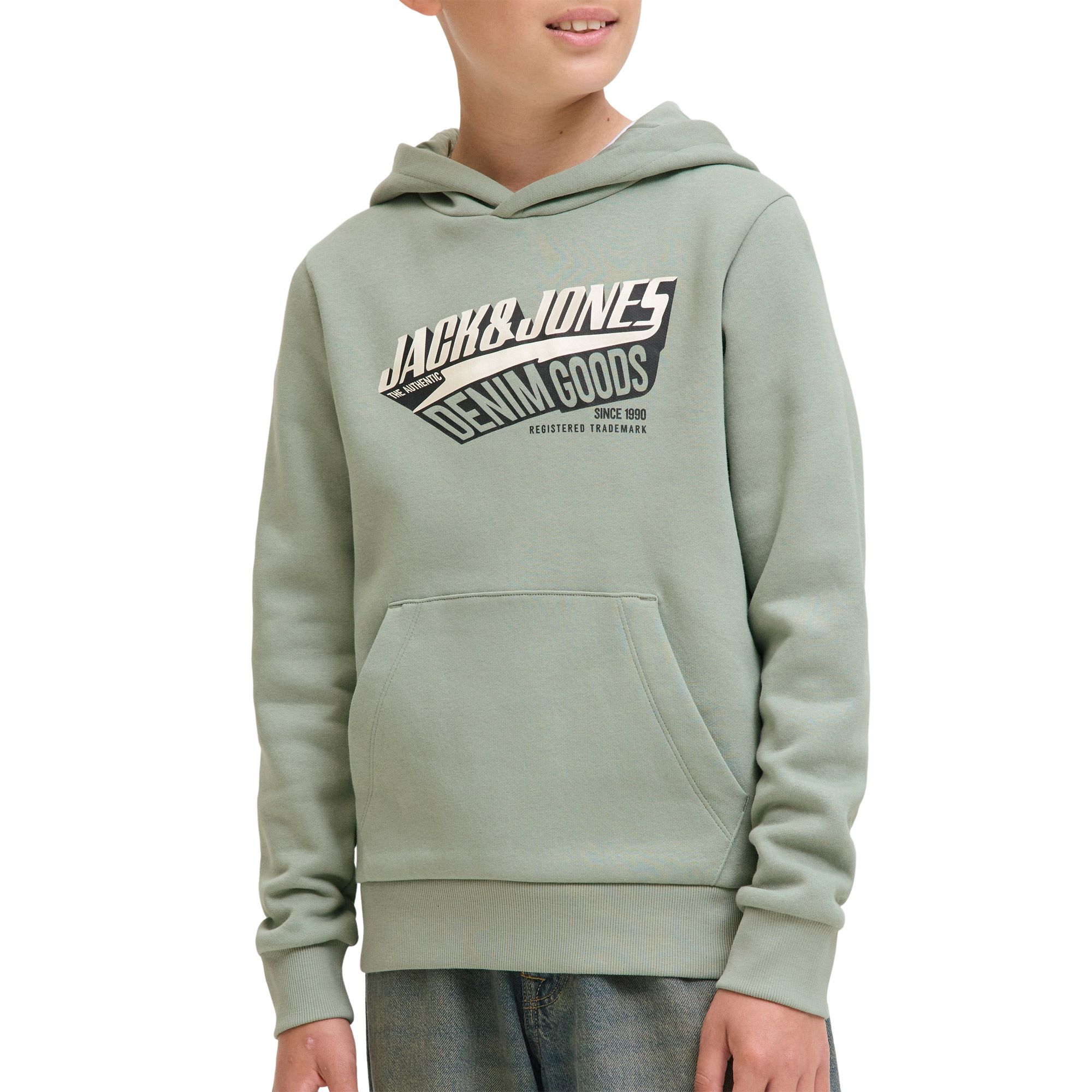 Jack & Jones Logo Hoodie Junior