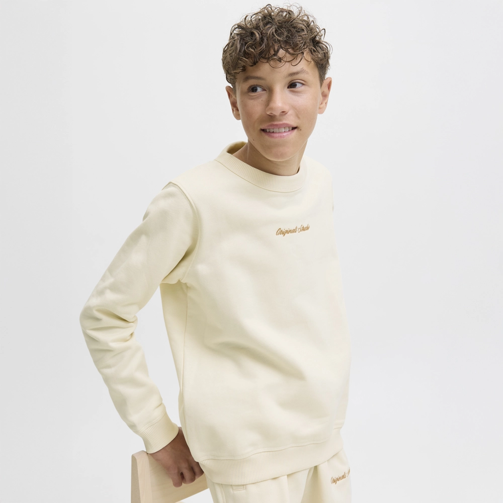 Jack & Jones Junior Sweatshirt JORNORREBRO EMB SWEAT CREW NOOS JNR