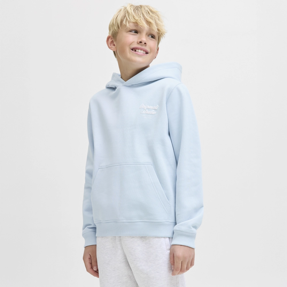 Jack & Jones Junior Hoodie JORNORREBRO TYPO BACK SWEAT HOOD SN JNR