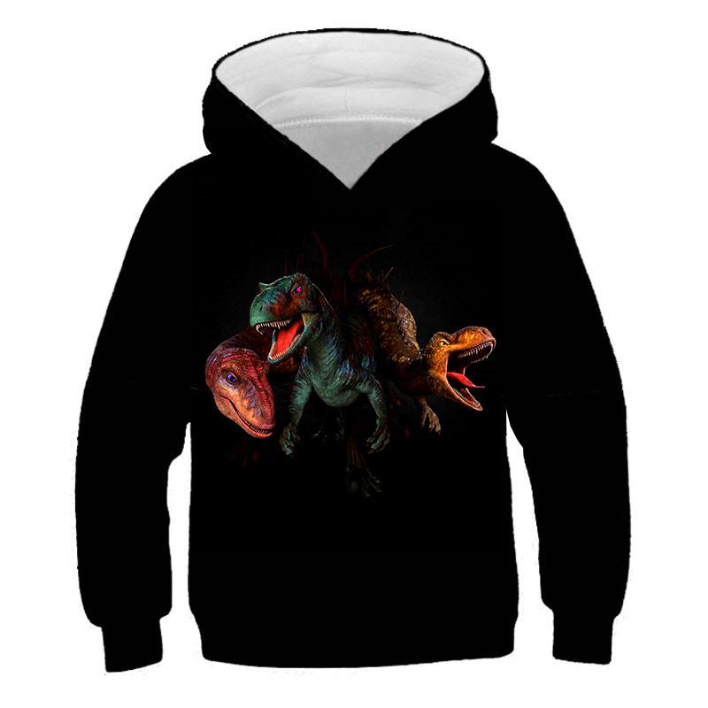 ETST WENDY 011 Kinderen Winter Dinosaurus dieren Hoody Hot Selling Kleding Kids Truien Tops Tiener Jongen Dinosaurus Kleding 4 -14 jaar 160