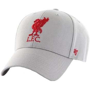 '47 Brand Pet  EPL FC Liverpool Cap
