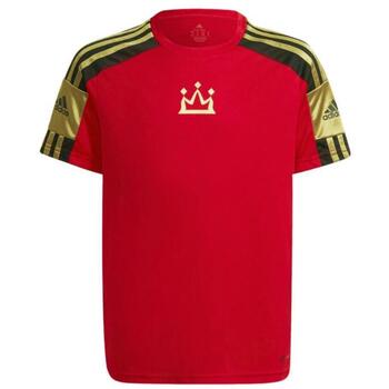 Adidas T-shirt  -