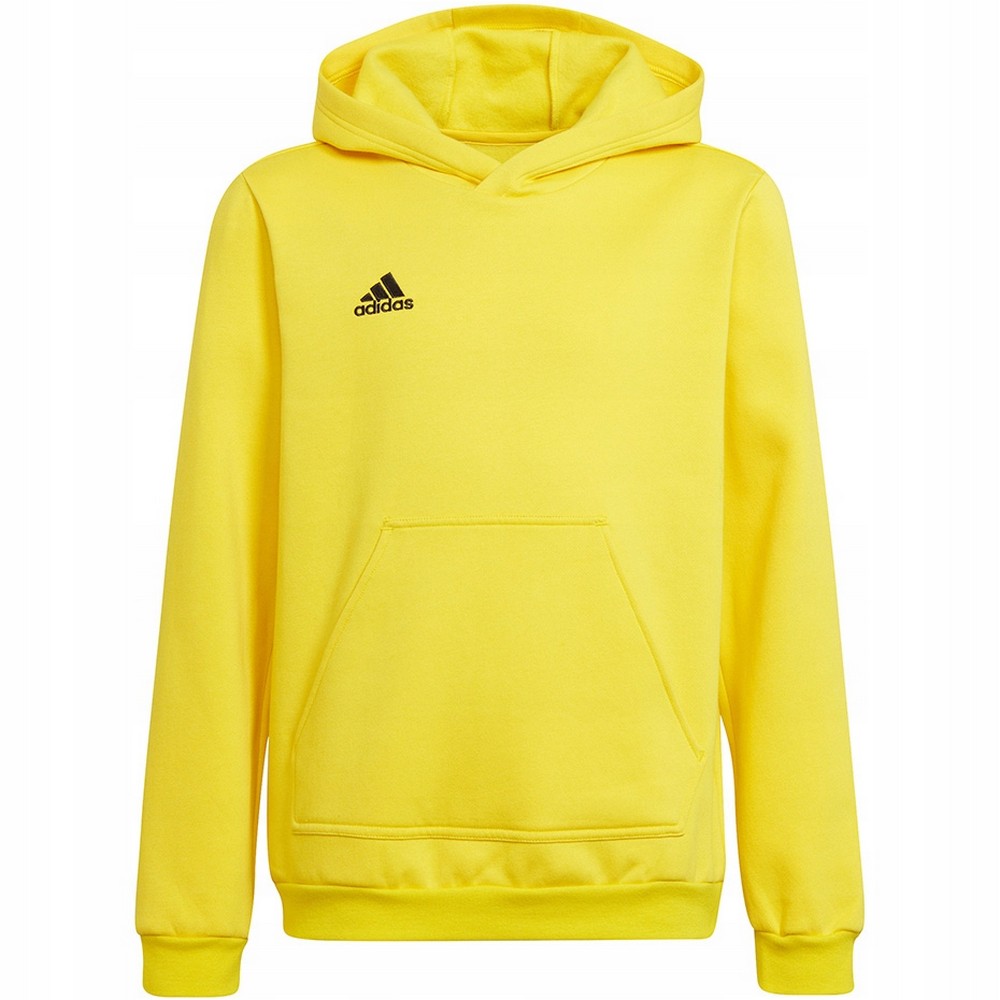 Adidas Kinderen/kinderen entrada 22 hoodie