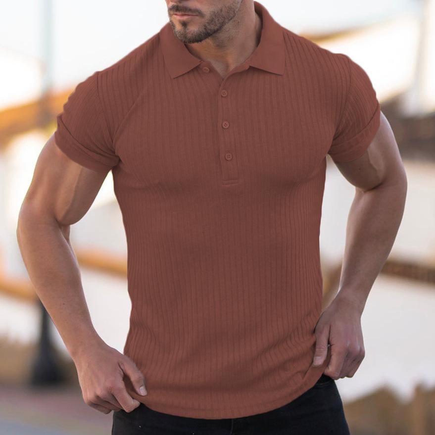 Phoca largha Muscle Poloshirts voor heren Slim Fit Zomer Korte mouwen Golfshirts Fit Shirts Casual Stretch Mock Neck Basic Ademend Button Down Workout T-shirts 2XL donkerbruine kleur