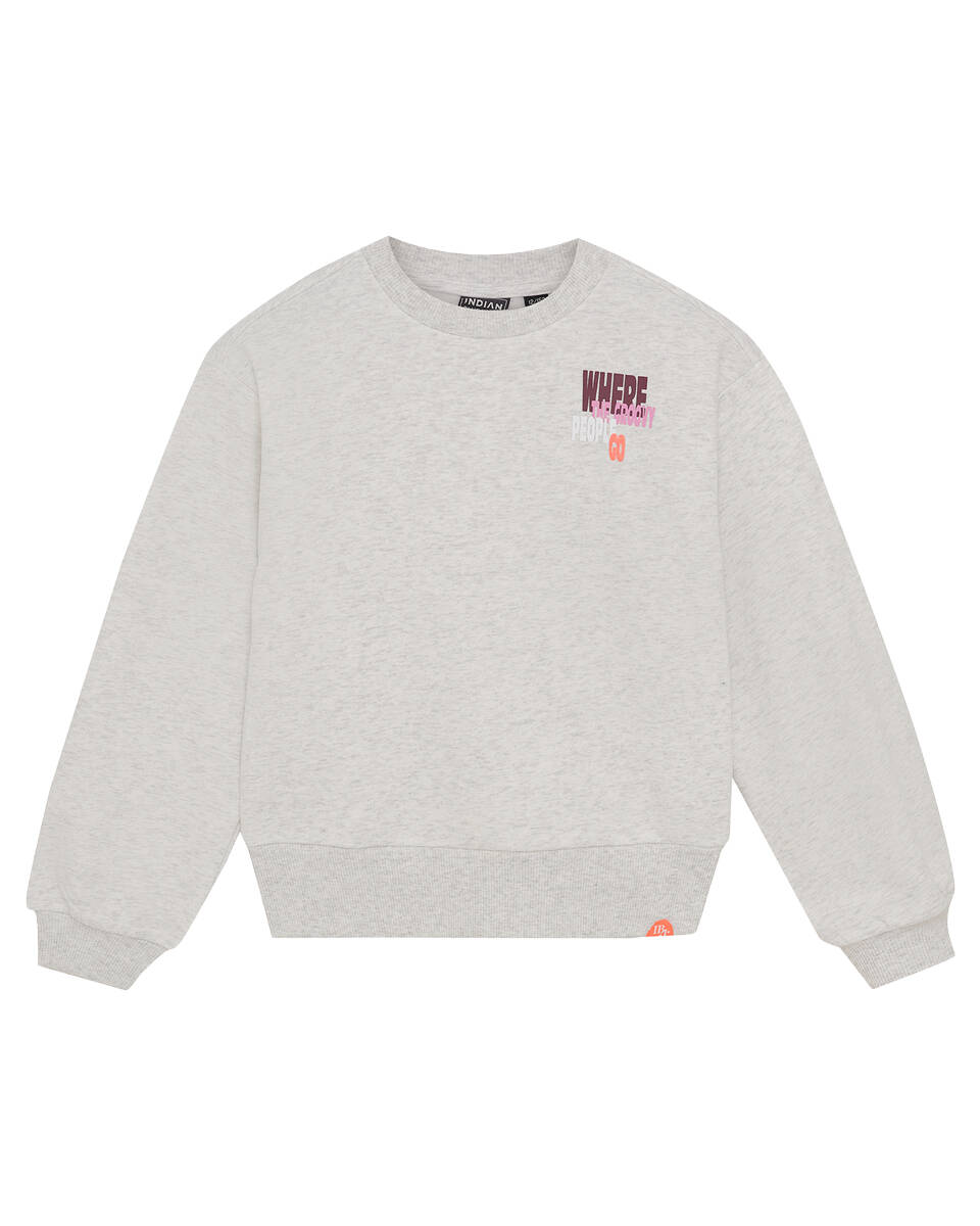 Indian Blue Sweat 970327