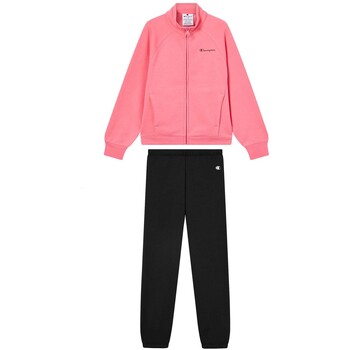 Champion Sweater  -