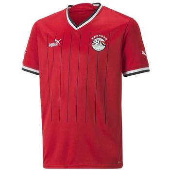Puma T-shirt  -