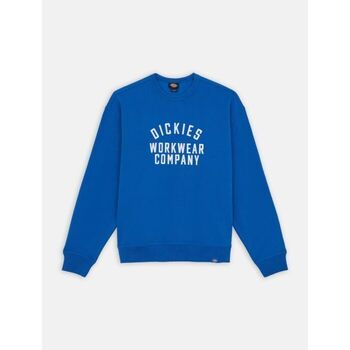 Dickies Sweater  GRAPHIC HOODIE 3 - DK0A85ST-J531 TURKISH SEA
