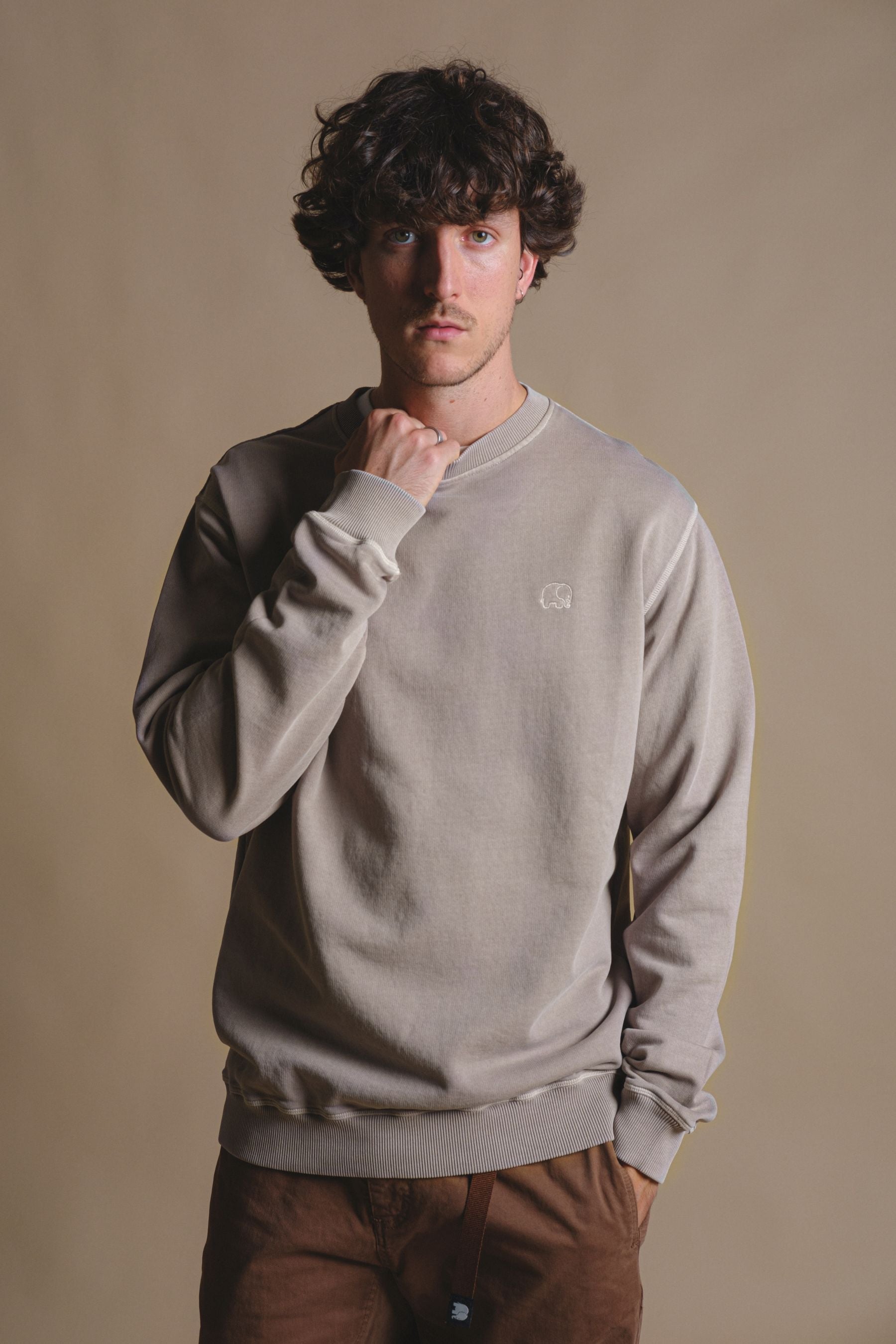 Trendsplant Herren vegan Pullover Heavyweight Essential Pigment Elephant Beige