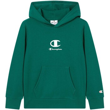 Champion Sweater  Hooded Sweatshirt