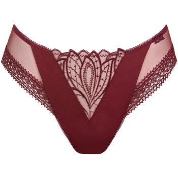 Lisca Slips  Slip ADVENTURE