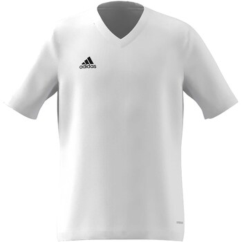 Adidas T-shirt  Ent22 Jsy Y