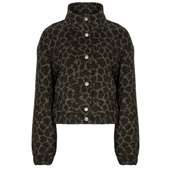 Only Windjack  ONLEMILIA LIFE