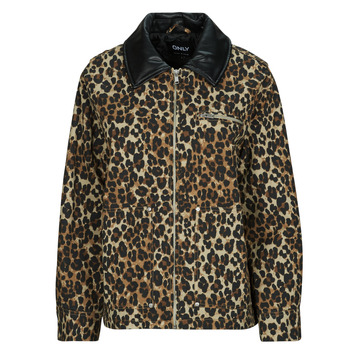 Only Windjack  ONLIVRA CANVAS