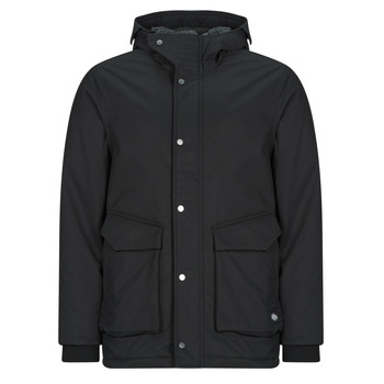 Teddy smith Parka Jas  P-DONALD