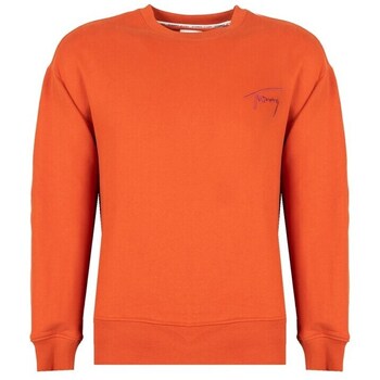 Tommy Hilfiger Sweater  DM0DM12373