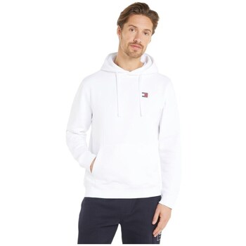 Tommy Hilfiger Sweater  REG BADGE