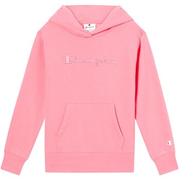 Champion Sweater  Hooded Sweatshirt