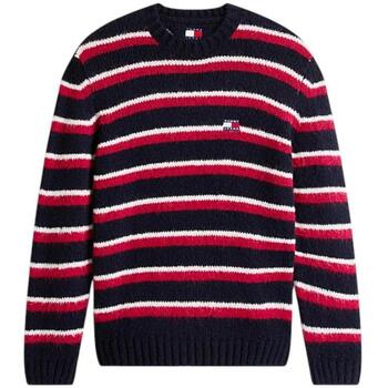 Tommy Hilfiger Trui  DM0DM22109 XJ7