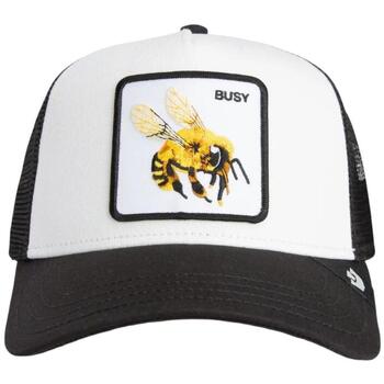 Goorin Bros Pet  101-2420-DUS02