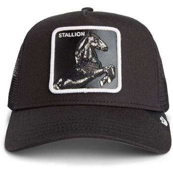 Goorin Bros Pet  101-2451-VOI-STALLION
