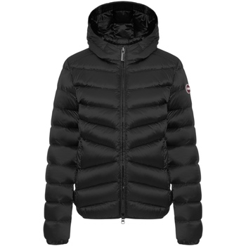 Colmar Donsjas  2219E 2YO