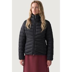 Colmar Donsjas  IN2522292YO 99