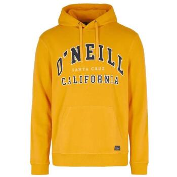 O'Neill Sweater  -