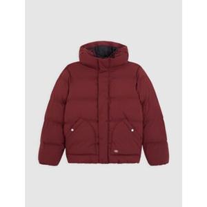 Dickies Donsjas  EAGLEVILLE HDD - DK0A87O-L161 ANDORRA