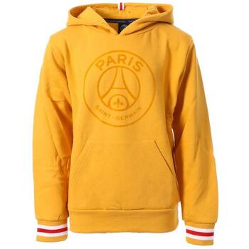 Paris Saint-germain Sweater  -
