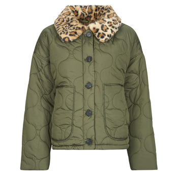 Noisy May Windjack  NMHOLLY