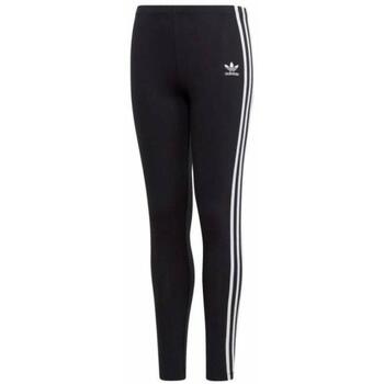 Adidas Legging  dv2874