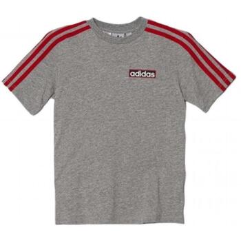 Adidas T-shirt Korte Mouw  in2122