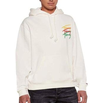 Tommy Hilfiger Sweater  -