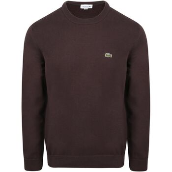 Lacoste Sweater  Pullover Bruin