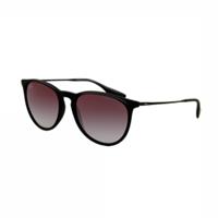Ray-Ban Sonnenbrillen Ray-Ban RB4171 Erika 622/8G