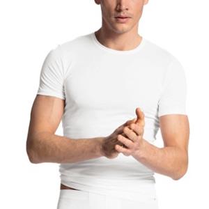 Evolution T-Shirt 14661 