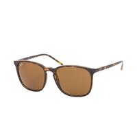 Ray-Ban RB 4387 710/73