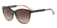 Emporio Armani Sonnenbrillen Emporio Armani EA4101 556713