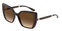 Dolce & Gabbana Zonnebril DG6138 318513 HAVANA Op Transparant Bruin Bruinverloop
